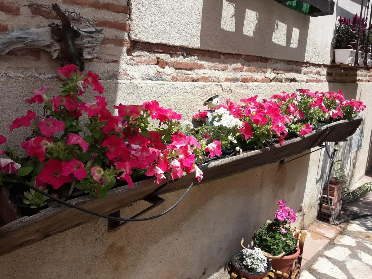Casa Rural La Casa De Las Manuelas Horcajo de las Torres Ngoại thất bức ảnh